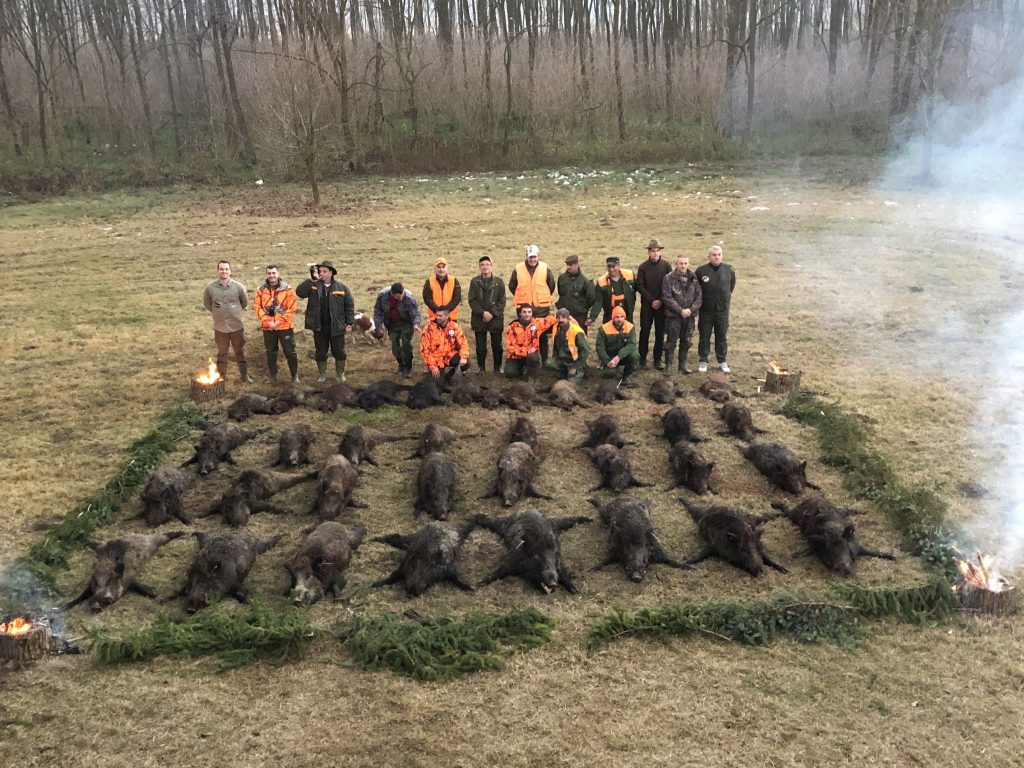 Driven Wild Boar Serbia Trips