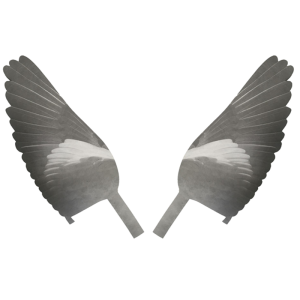 Pro Flap Decoy Replacement wings