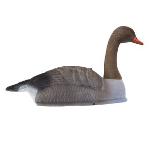 Goose & Other Decoys