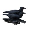 Fud Crow Decoy 6 Pack