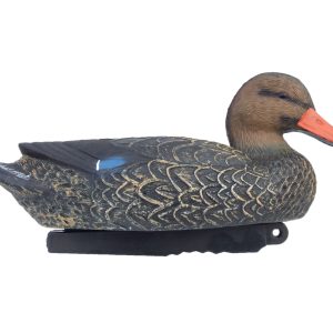 DUCK DECOYS