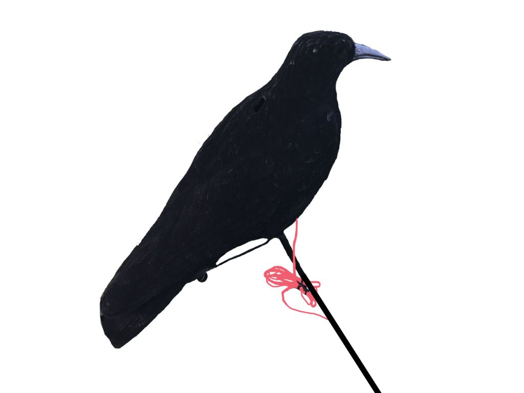 Motorised Pecking Crow Decoy