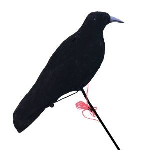 Motorised Pecking Crow Decoy