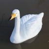Swan Orange Beak Decoy