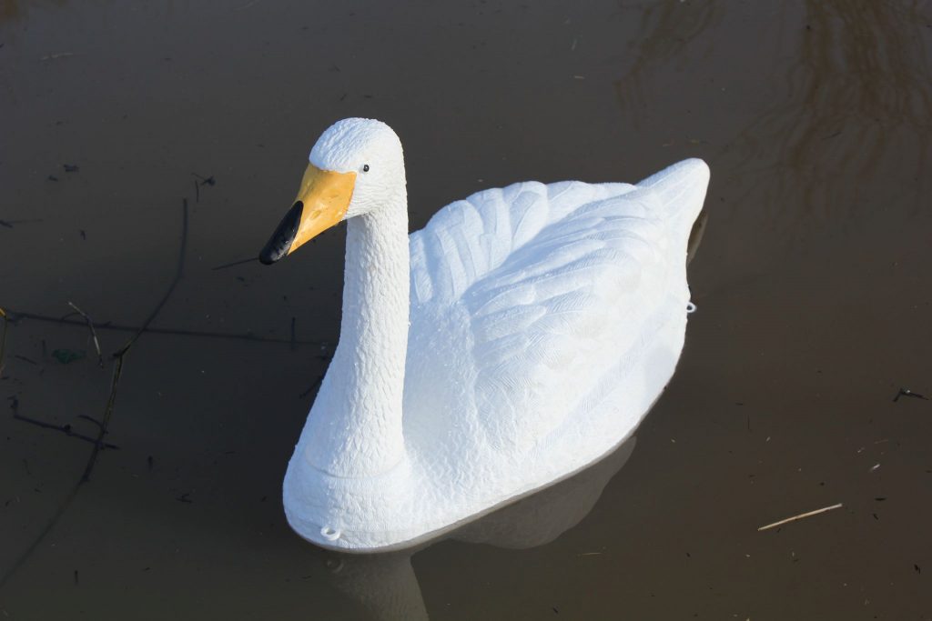 Swan Orange Beak Decoy