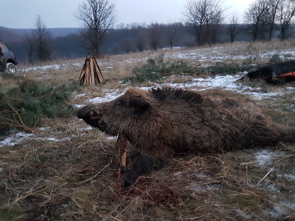 hungary hunting trip