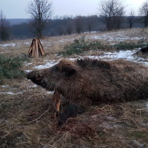 Hungary Hunting Trip