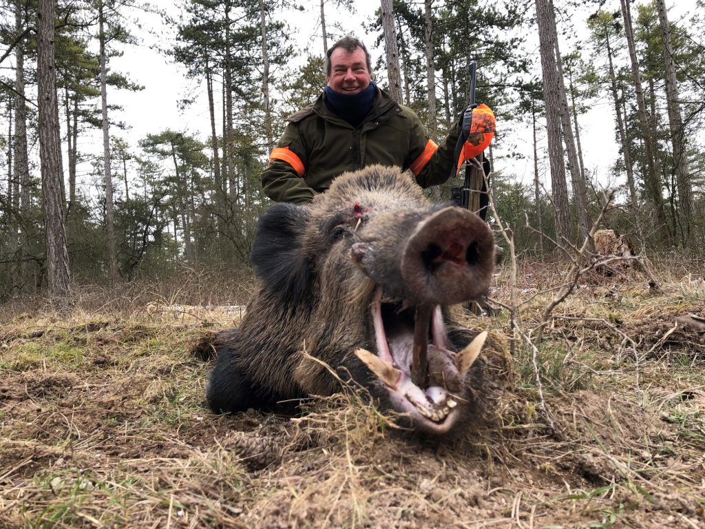 France Driven Wild Boar 26thFeb