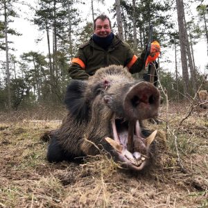 France Driven Wild Boar 26thFeb