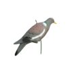 Plastic pigeon decoy