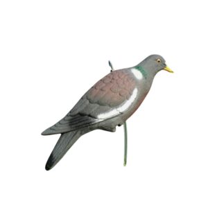 Plastic pigeon decoy