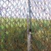 Aptly named "Stealth Ghost Camo", this 2-ply camouflage stealth net is an unbelievable advance in concealment technology for hunters relying on total invisibility from their quarry.The net is 1.5m tall. Please choose the length from the drop down menu.Lightweight, approx 1.8lbs.Woodland camo.Will not snag your gun barrelsWon't tangle, even if screwed up.Compacts into 1 square foot.Without a doubt the best feature of the net is the pattern and texture. The exterior layer is printed in special British foliage disruptive camo pattern and then dies cut to produce a 3-Dimensional moving leaf effect. The backing layer is green micromesh which not only adds depth and shadowing to the texture but also makes the net very easy to see through from the inside.