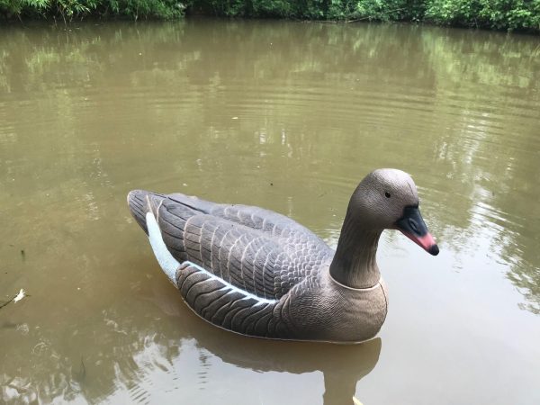 Pond FLOATING PINKFOOT GOOSE DECOY