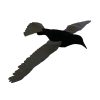 PRO FLAP CROW with BLACK WINGS