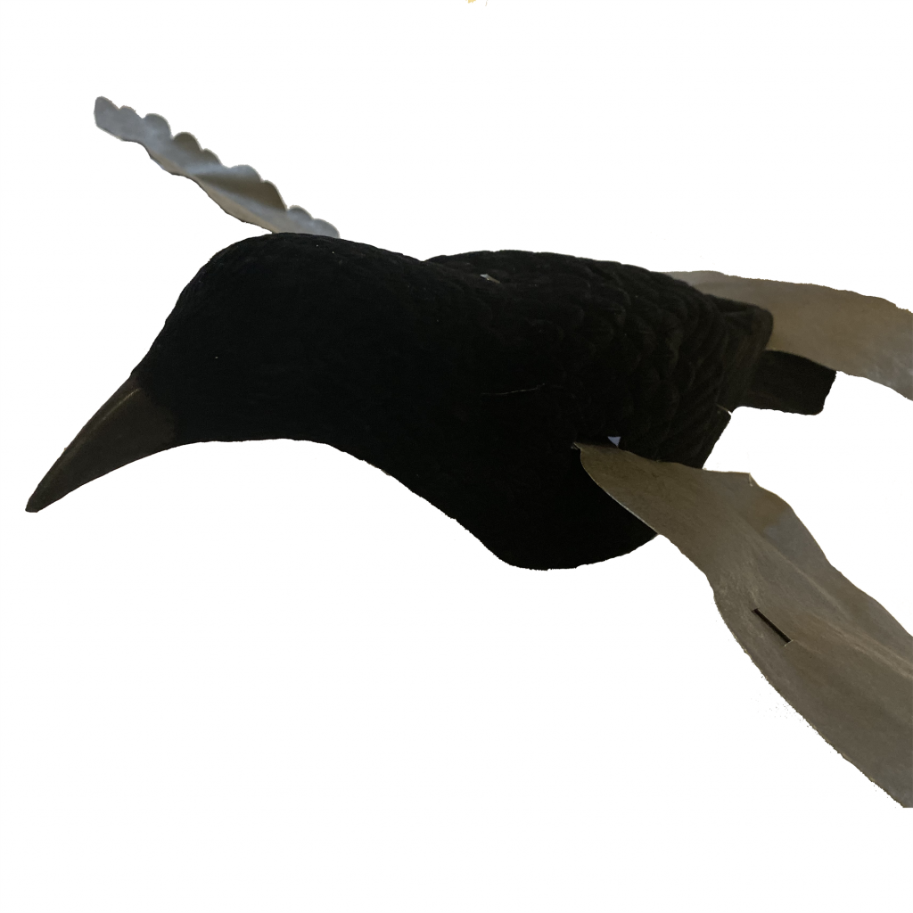 PRO FLAP CROW with BLACK WINGS