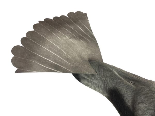 2 x Pro Flap Tail Wing Decoy Pigeon Spare Proflap MK 2