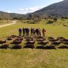 Spanish Monteria 16th-18th February 2022
