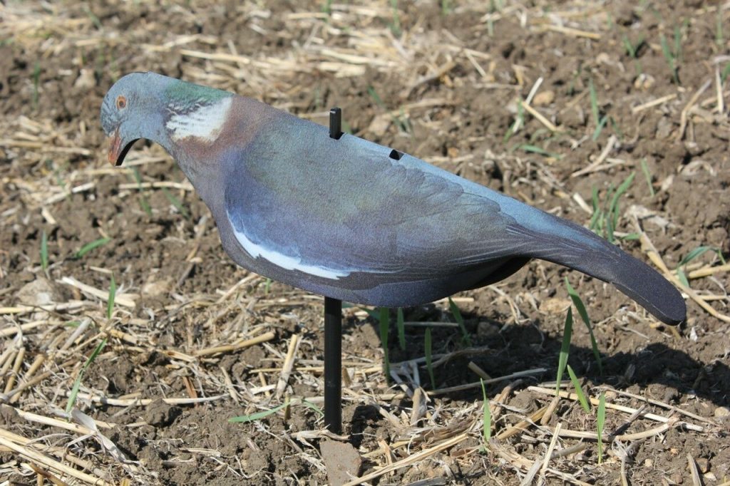 PROFESSIONAL PHOTO REALISTIC NEOPRENE PIGEON SHELL