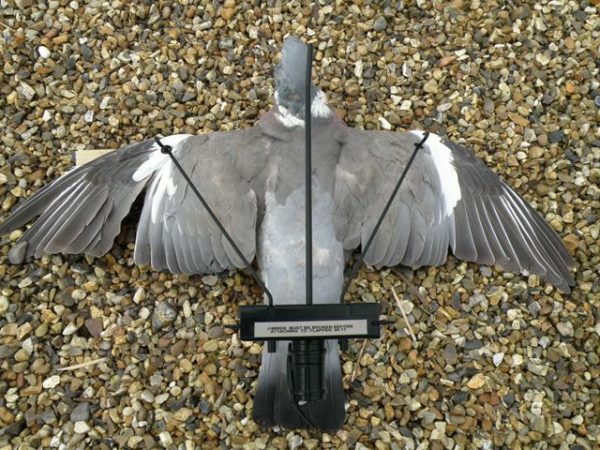 Refurbished Turbo Pigeon Flapper