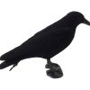 FLOCKED CROW FULL BODIED DECOY