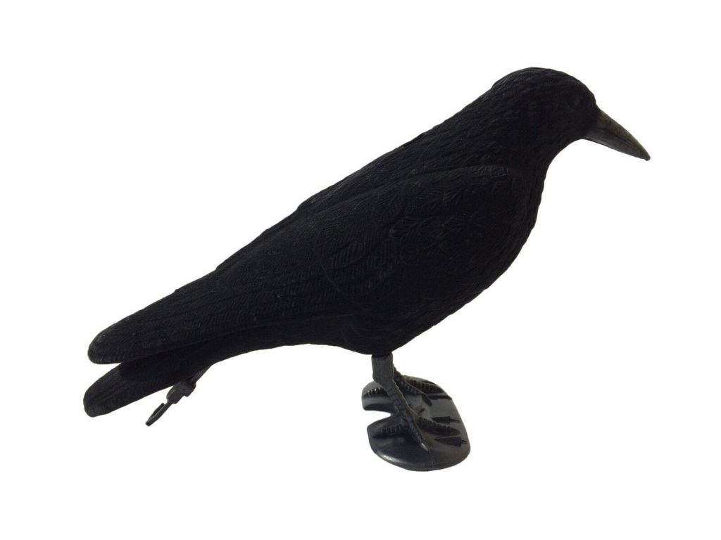 FLOCKED CROW FULL BODIED DECOY