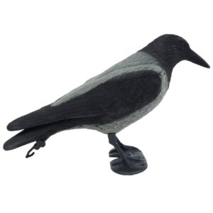 Hooded Crow Decoy