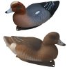 Eurasian Wigeon Duck Decoys