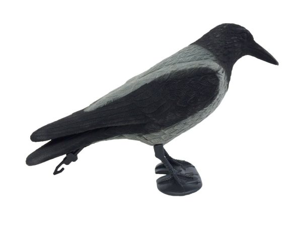 Hooded Crow Decoy