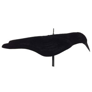 CROW SHELL FLOCKED SINGLE