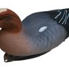 Flambeau Eurasian Wigeon Duck Decoys