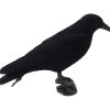 Whole Body Flocked Crow Decoys