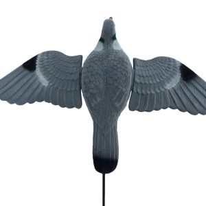 Spring Wing Pigeon Decoy