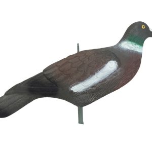 Painted Pigeon Shell Decoy