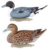 Flambeau Pintail Duck Decoys