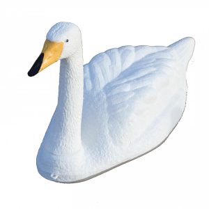 whooper swan decoy