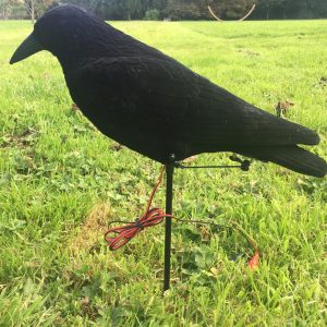Pecking Crow Decoy with slight second batteries