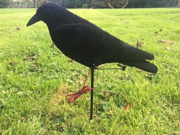 Pecking Crow Decoy with slight second batteries
