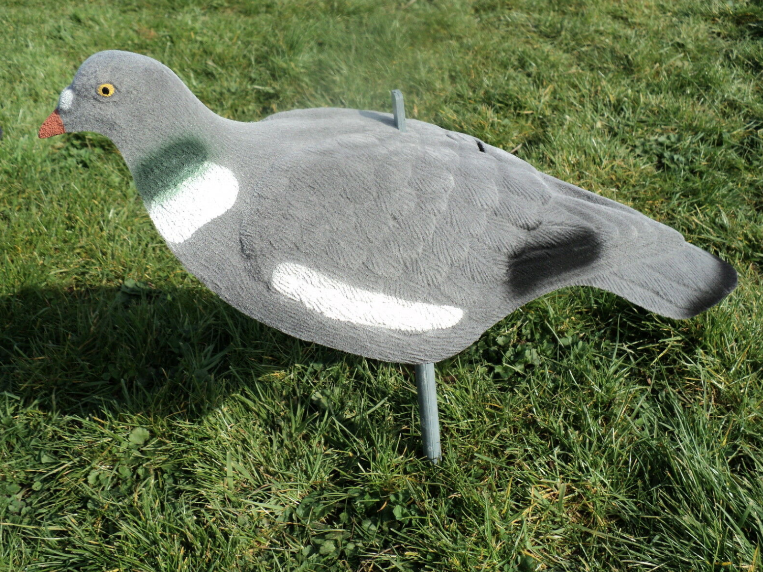 Full body pigeon shooting decoy including pegs 6 x Flocked pigeon decoys 