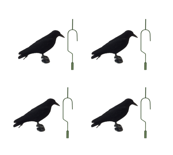 Flocked Crow Full Body Decoys and 4 Lofting Hooks Pack of 4
