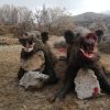 Driven Wild Boar Hunting in Turkey 10th-15th February 2022