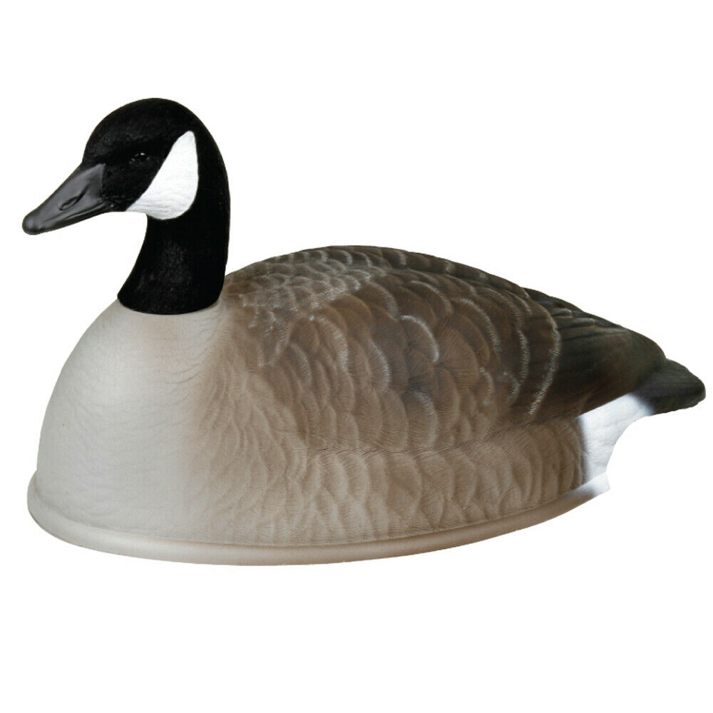 Goose shells sales