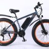 Firefly Electric Bike