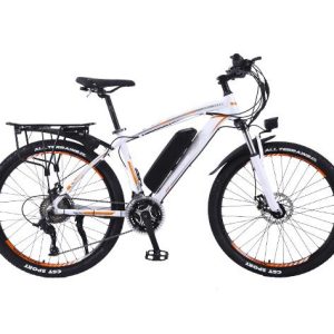 The Fly Speed Electric Bike